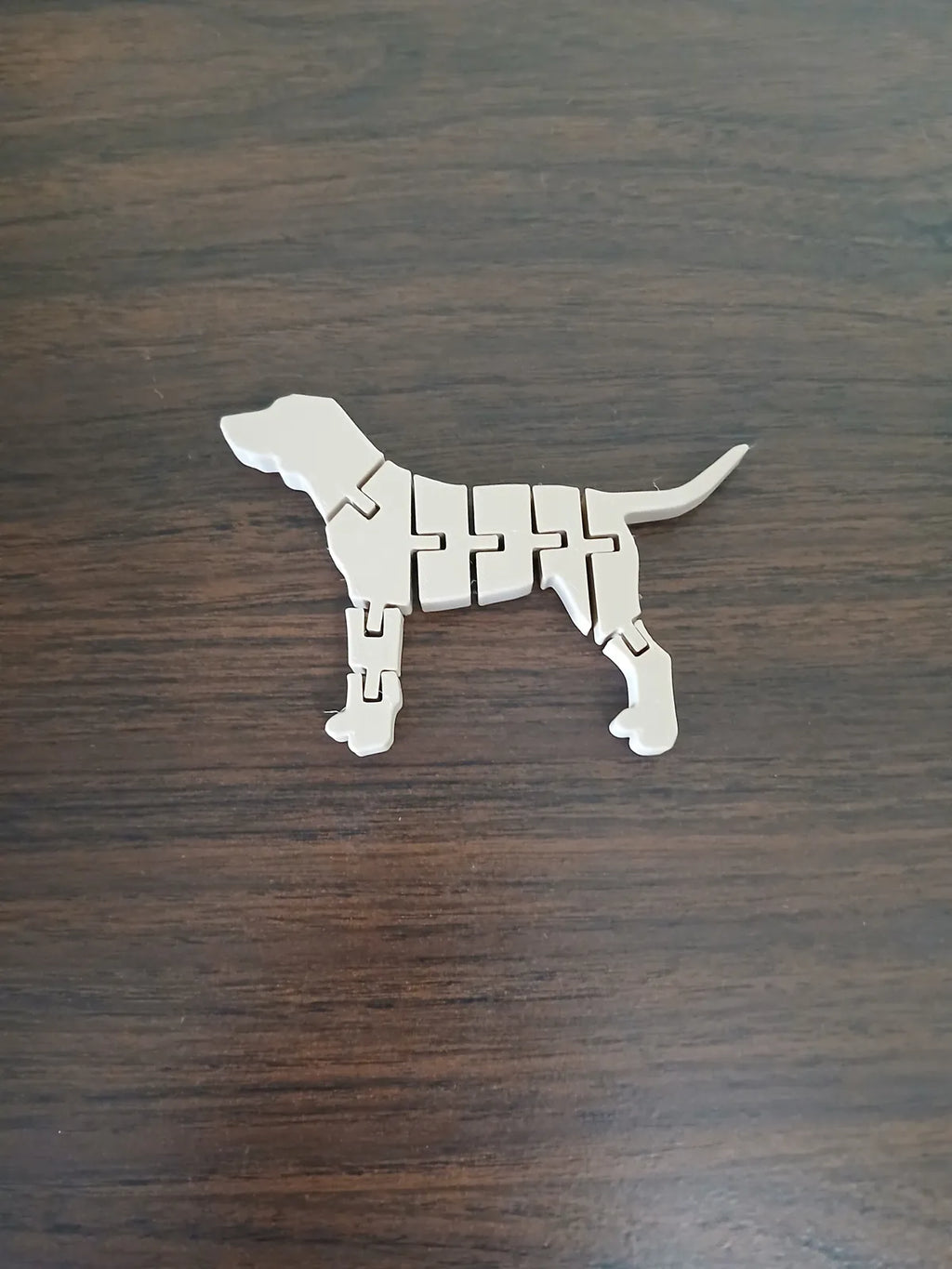 Flexi Dog (designer photo)