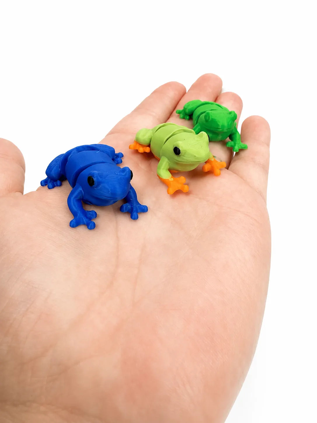 Articulated Frog (designer photo)