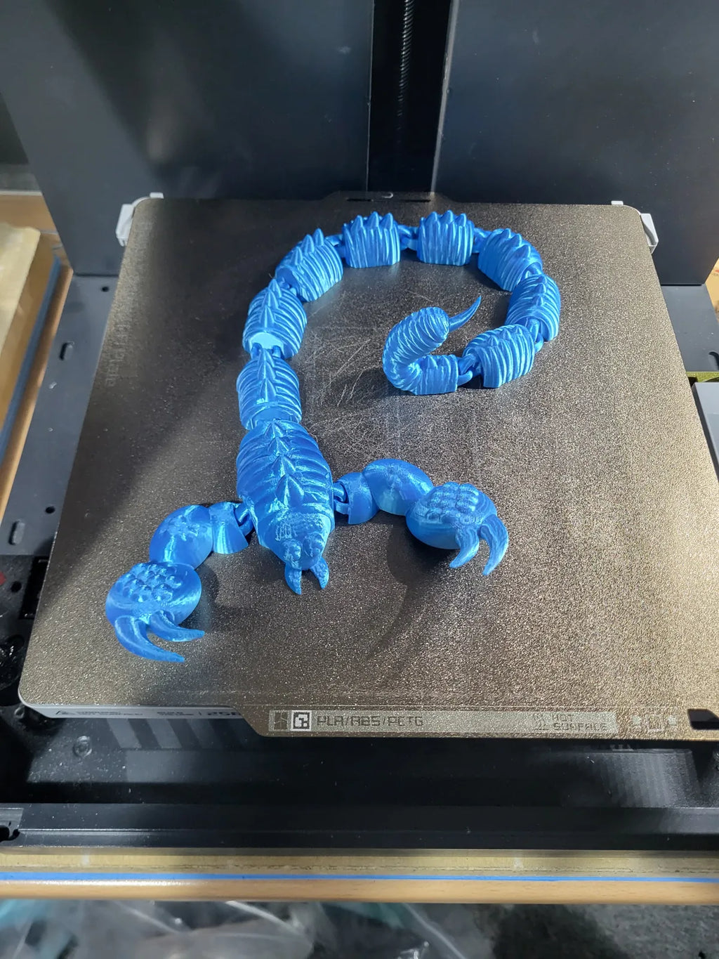 Scorpion Dragon (designer photo)