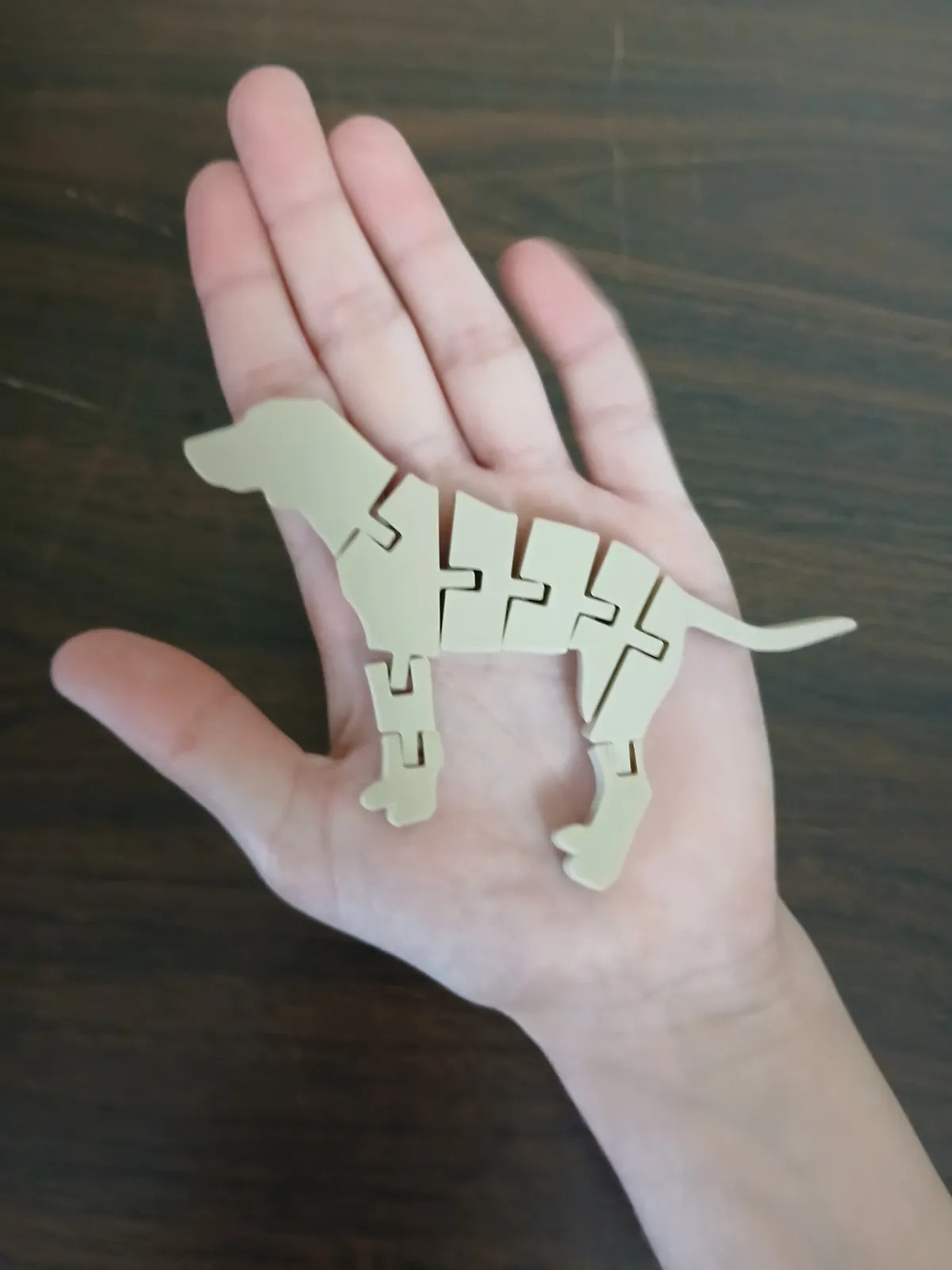 Flexi Dog (designer photo)