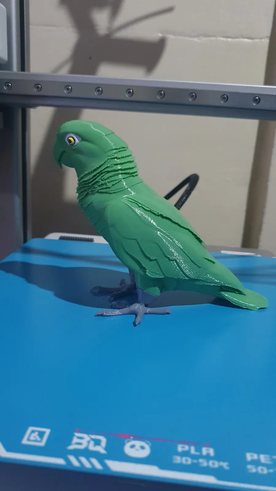 Mangrove Parrot (designer photo)