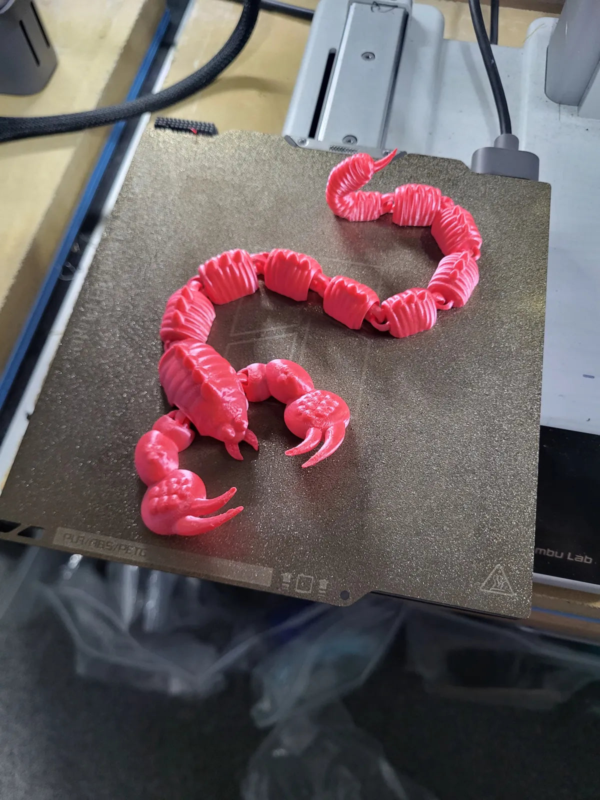Scorpion Dragon (designer photo)