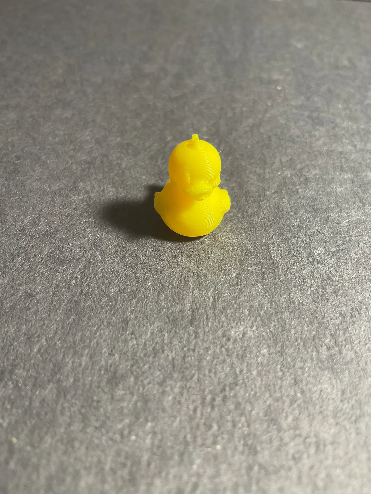 Army of Ducks (designer photo)