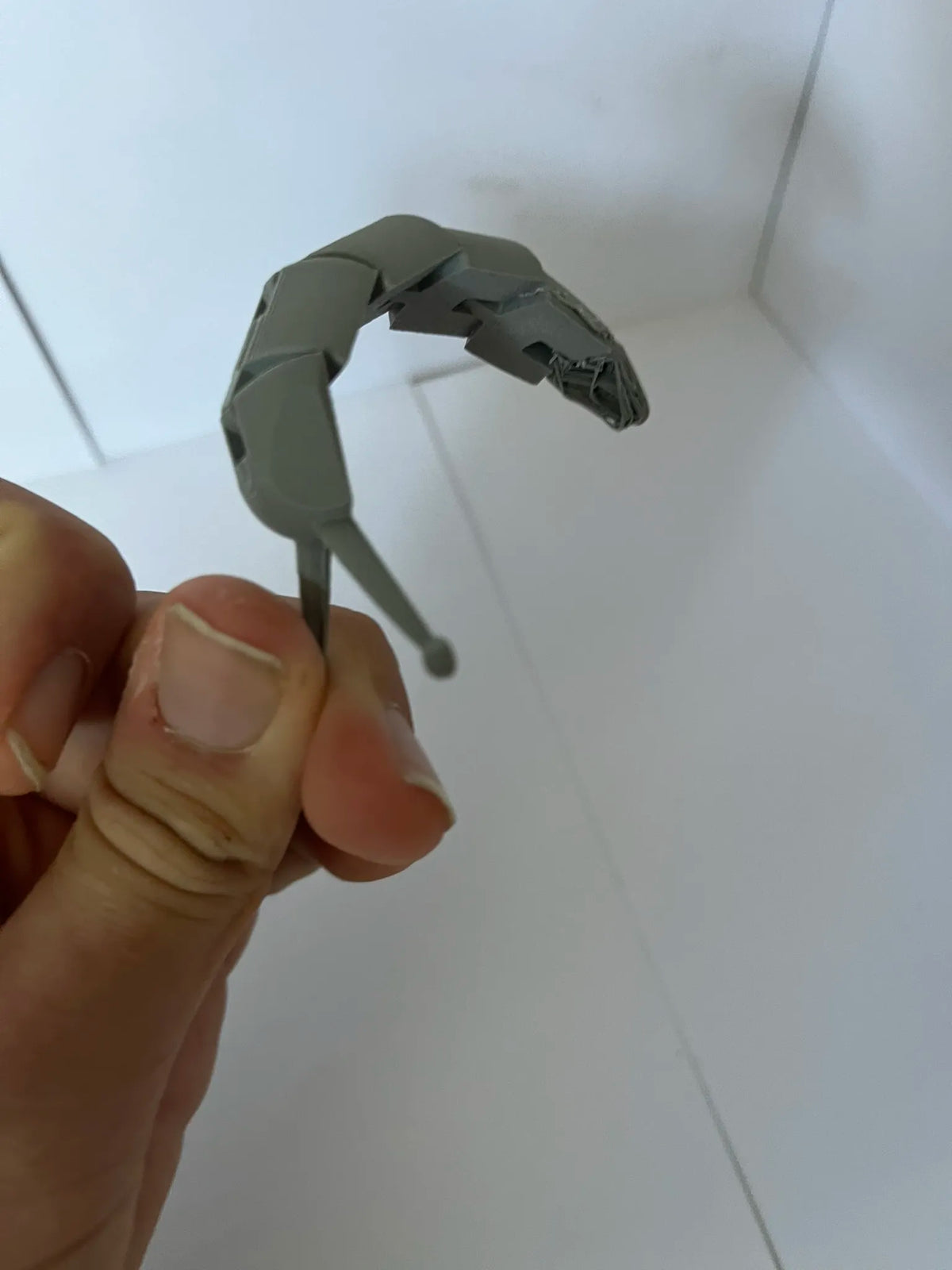 Flexi Slug (designer photo)