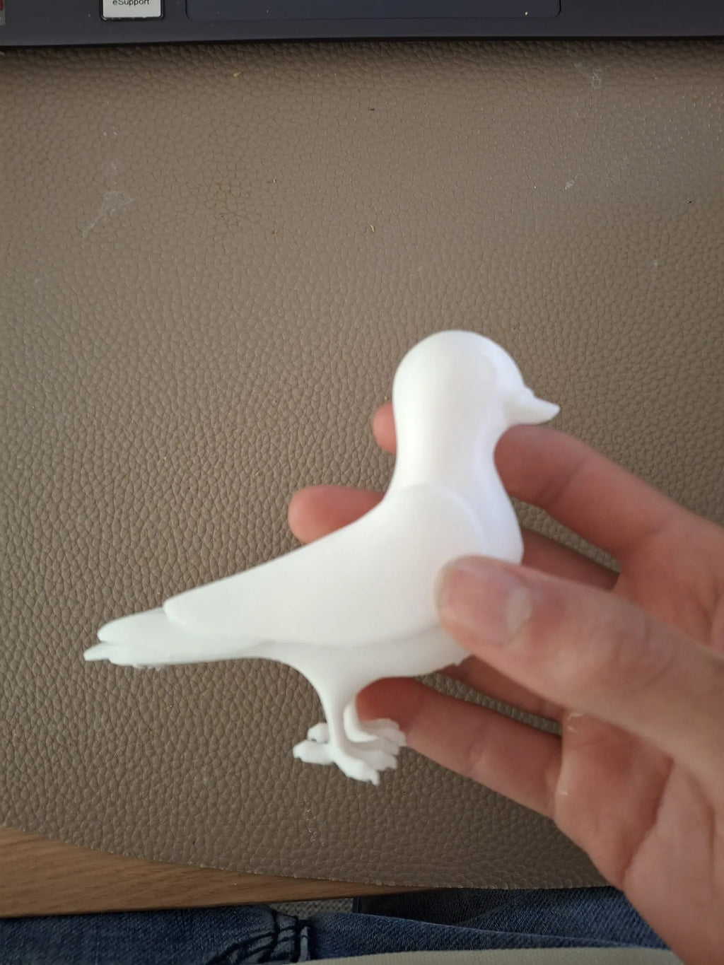 Cartoon Pigeon (designer photo)