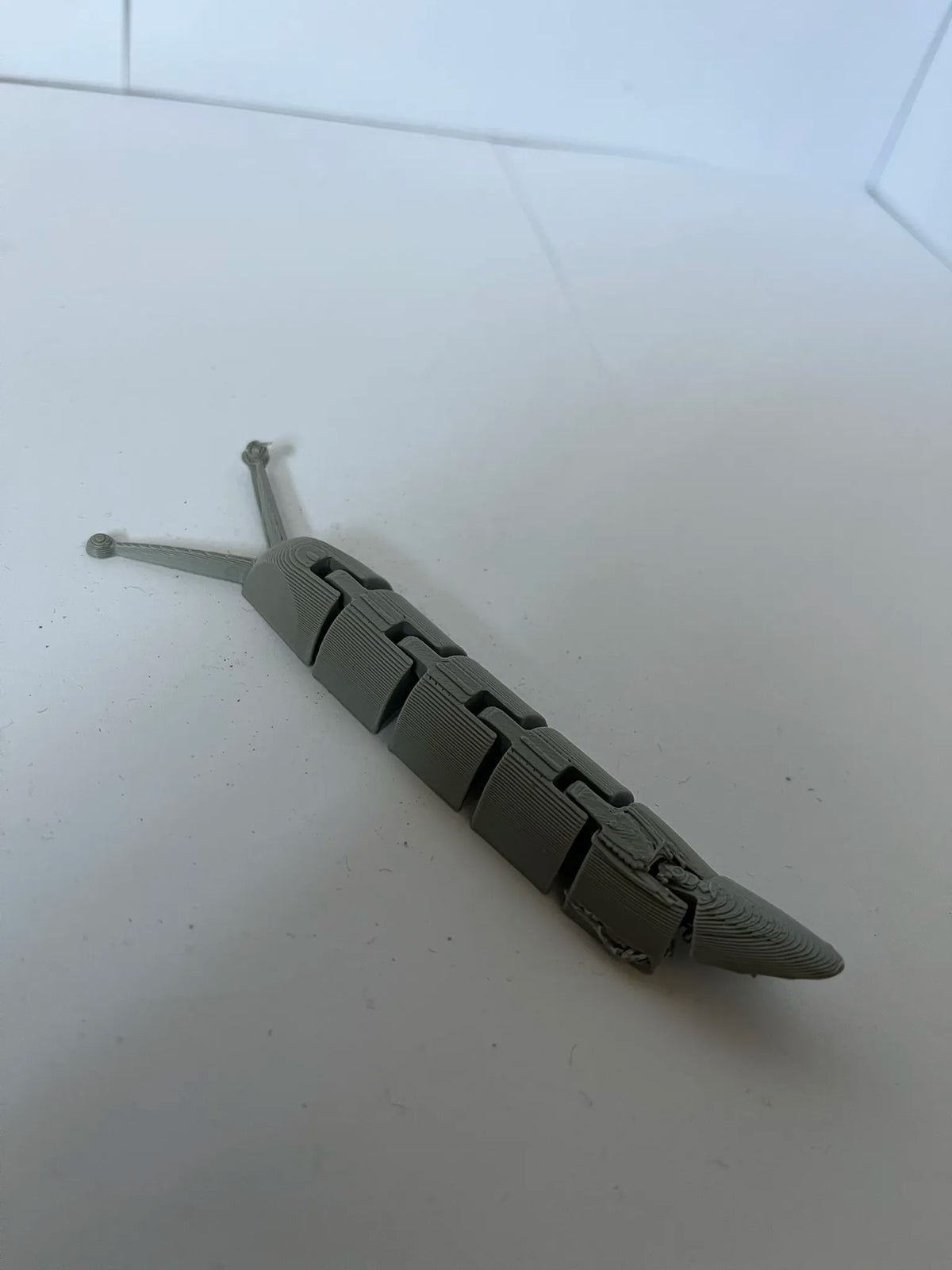 Flexi Slug (designer photo)