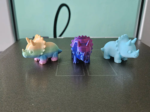 Baby Triceratops (designer photo)