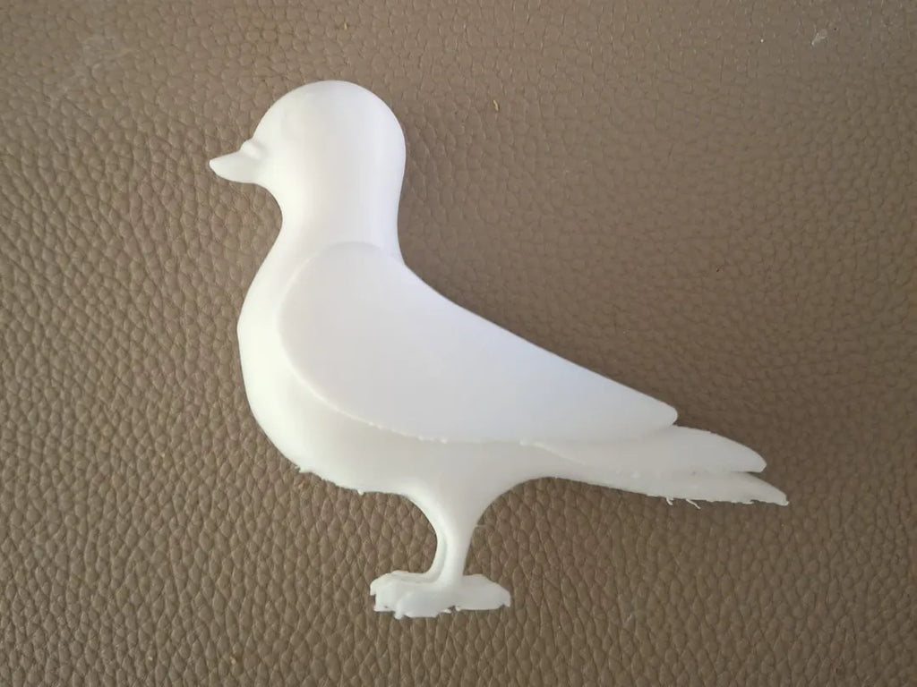 Cartoon Pigeon (designer photo)