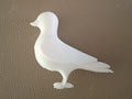 Cartoon Pigeon (designer photo)