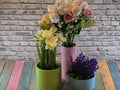 Spiral Vase (designer photo)
